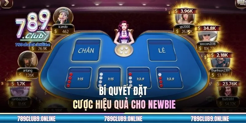 Bí quyết đặt cược hiệu quả cho newbie