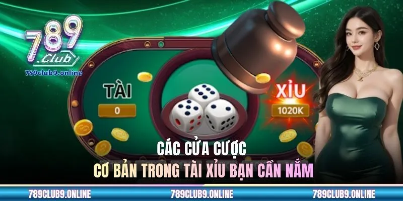Các cửa cược cơ bản trong tài xỉu bạn cần nắm