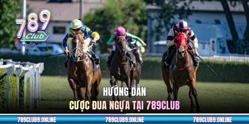Hướng dẫn cược đua ngựa tại 789CLUB